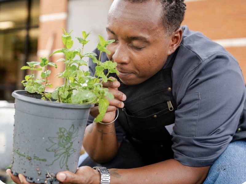 Smelling a potted mint plant to check the herb