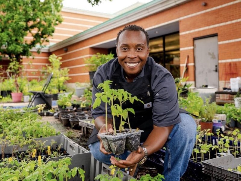 Tomato seedlings held in front of rows of young potted plants